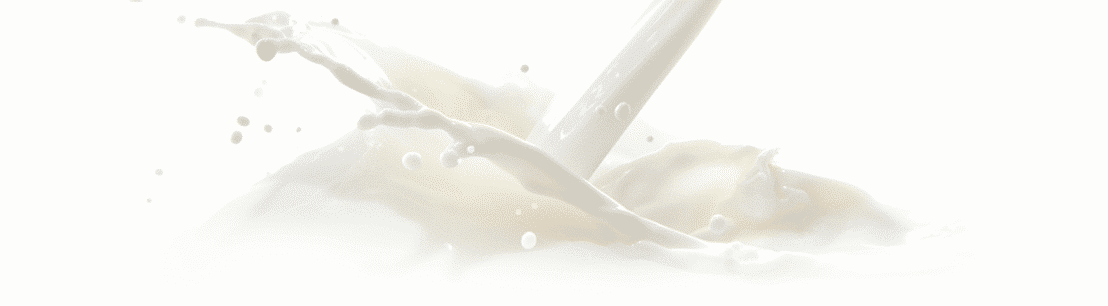savoir faire lait villars - Traditional know-how