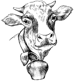 vache - Accueil